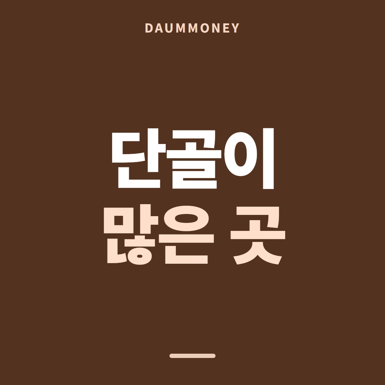 다음머니 신용카드잔액현금화 이름이 안 보일 때 안내 배너